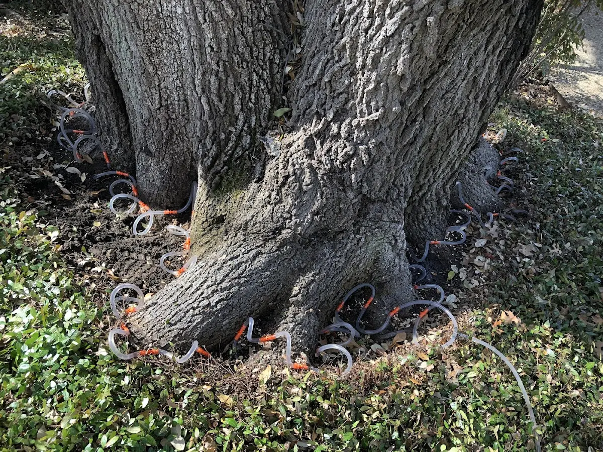 Detailed Shrub and Hedge Trimming job site in Poteau