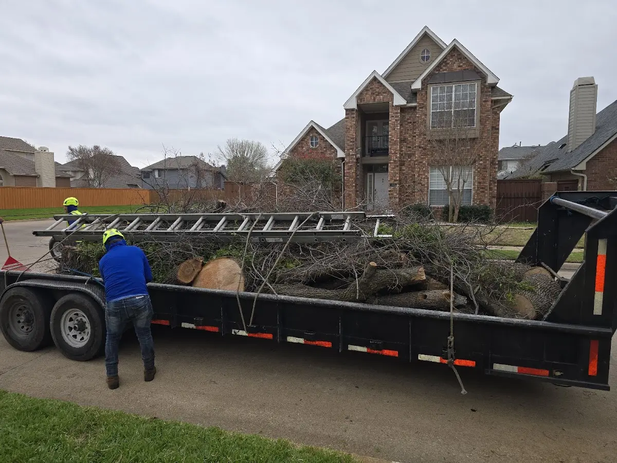 Expert Lot Clearing with proper safety equipment in Poteau